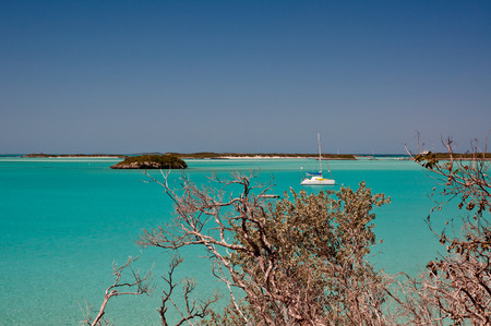 one catamaran sailboat anchored in the caribbean off the coast of the bahams.  beautiful shades of turguoise waters and clear blue sky.  copy space available.  tree branches in foregroundの写真素材