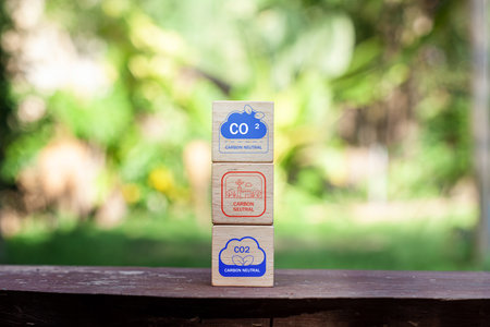 Concept of carbon footprint and reduced carbon emission. Carbon footprint symbols on a wooden cube with an eco-friendly emblem. Concept of environmental and climatic change. LCA.の写真素材