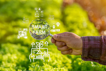 Farmer's hand holding a magnifying glass in smart data inspection technology and send data to the digital cloud. Analysis and control of plant quality in soil, smart digital agricultureの写真素材