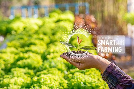 Female farmer inspecting her smart farm grain field. technology and send data to the cloud from the tablet. in the analysis and control of plant quality in the soil smart digital agricultureの写真素材