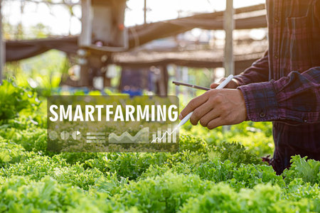 Female farmer inspecting her smart farm grain field. technology and send data to the cloud from the tablet. in the analysis and control of plant quality in the soil smart digital agricultureの写真素材