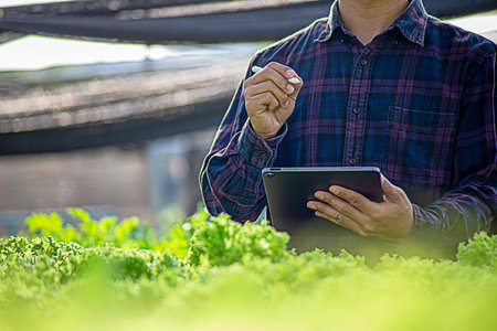 Futuristic businessman farms vegetables and crops using modern AI technology using mobile phones, temperature and humidity sensors, water tracking, climate control, holographic data data icons.の写真素材