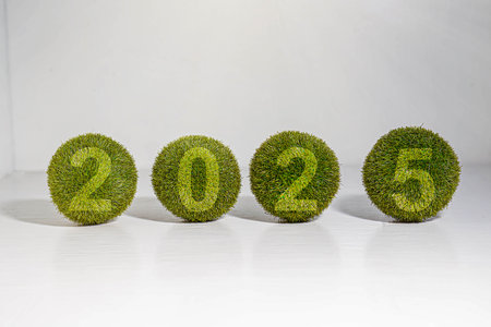 New year 2025 from the green grass, isolated on whiteの写真素材
