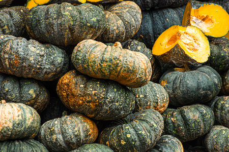Green pumpkin background. Thailand, Bangkok.の写真素材