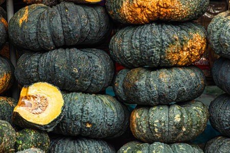 Green pumpkin background. Thailand, Bangkok.の写真素材
