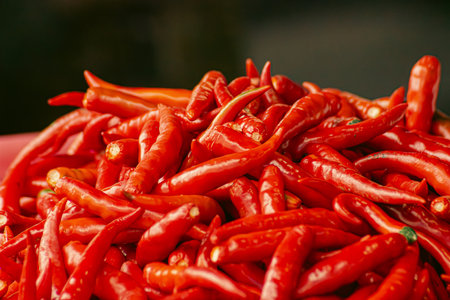 spicy hot red and green pepperの写真素材