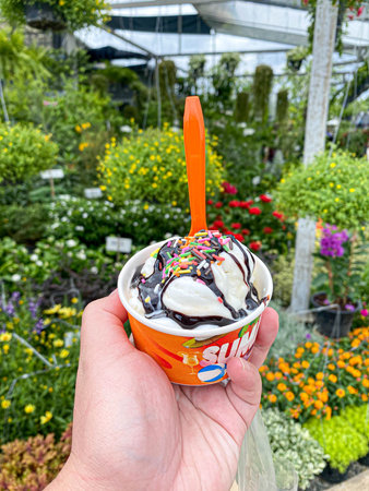colorful ice cream on a sunny dayの写真素材
