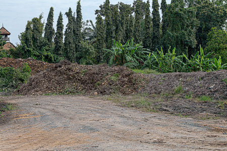 Compost piles are full of soil microorganisms. Farming is done using natural methods, without using chemicals in any step of farming.の写真素材