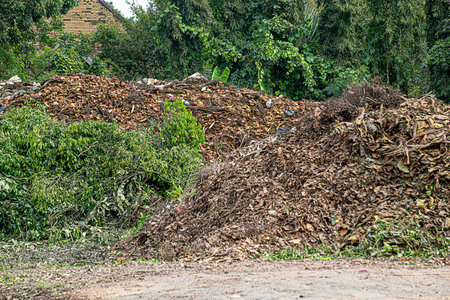 Compost piles are full of soil microorganisms. Farming is done using natural methods, without using...