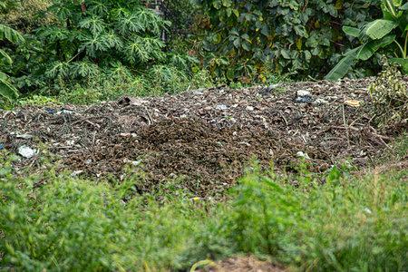 Compost piles are full of soil microorganisms. Farming is done using natural methods, without using...
