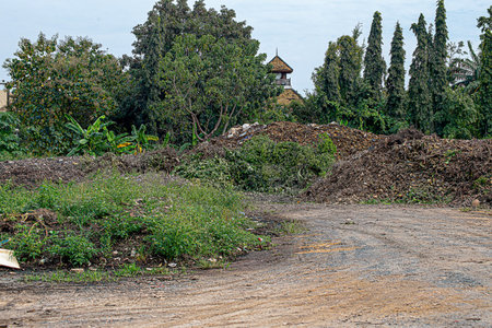 Compost piles are full of soil microorganisms. Farming is done using natural methods, without using chemicals in any step of farming.の写真素材