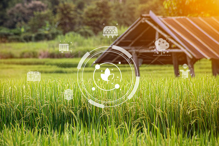 Agricultural technology concept, Ai system. A young man is working on a farm using a tablet controller with innovative technology for a smart farm system.の写真素材