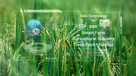 Smart Farm Agricultural Industry Deep Tech Startup. Data Technology Used in conjunction with artificial intelligence technology To help modern agriculture and create sustainable agricultural innovationsの写真素材