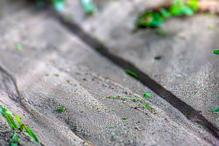 Footprints in the sand, on the beachの写真素材