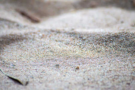 Footprints in the sand, on the beachの写真素材