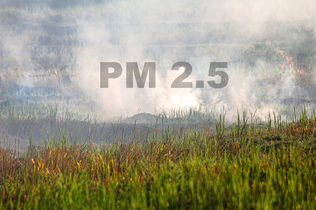 Farmer is preparing rice field for the next round by burning organic waste causing PM 2.5.の写真素材