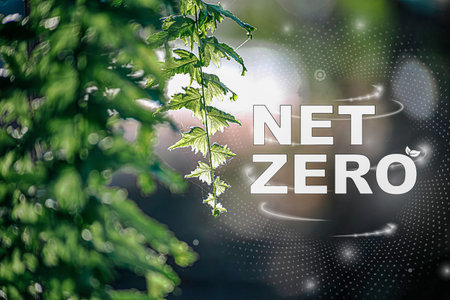 Net Zero concept, net zero greenhouse gas emissions, is a long-term climate neutral and environmentally sustainable strategic goal of the world.の写真素材