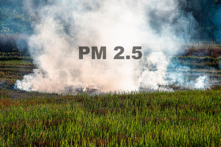 Farmer is preparing rice field for the next round by burning organic waste causing PM 2.5.の写真素材
