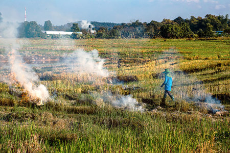 Rice fields are being burned by humans. Forest fires are the cause of PM2.5 air pollution that contributes to global warming.の写真素材