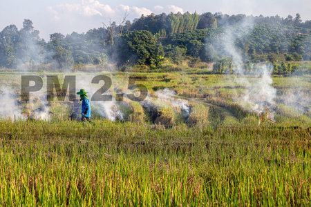 Farmer is preparing rice field for the next round by burning organic waste causing PM 2.5.の写真素材