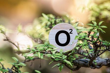 Reduce CO2 emissions to limit climate change and global warming. Tree canopy against oxygen O2 and carbon dioxide CO2 molecules.net zero.Carbon dioxide absorption and oxygen release conceptの写真素材