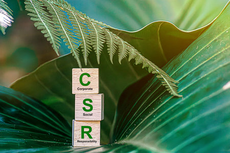 CSR (coporate social responsibility). words CSR on a woodblock and green world on a green background It is an idea for Corporate social responsibility and society activity concept.の写真素材