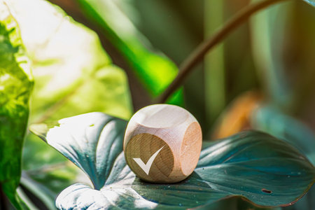 wooden cube with green check mark icon check mark check mark tick icon check mark Green circle Done...