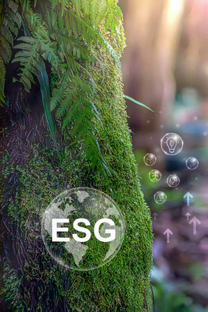 ESG Fund Concept Green Background ESG Social and Environmental Governance Investment Business Green...