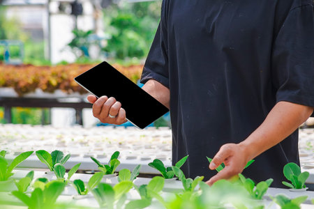 Male farmer working with digital tablet in green field, smart farm, agribusiness concept