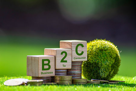 B2C text on wooden cube on nature background. Business to consumer concept.