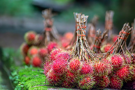 Close up many red rambutan in blue basket. rambutan sweet delicious fruit.background of fresh Thai rambutans. red and green.の写真素材