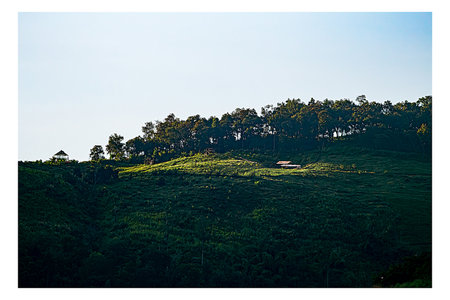 Nature Scenery - Green Rice Terraces on the Hillside, Adventure Hiking Trails, Travel & Outdoor...