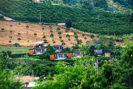Nature Scenery - Green Rice Terraces on the Hillside, Adventure Hiking Trails, Travel & Outdoor Activities in Thailandの写真素材