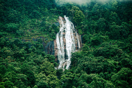 Siripoom waterfall is the beauty of nature to allow humankind to be blanketed with mist that was...