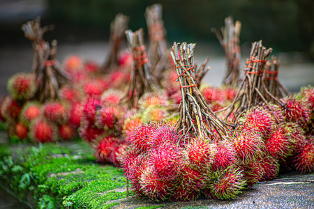 Close up many red rambutan in blue basket. rambutan sweet delicious fruit.background of fresh Thai rambutans. red and green.の写真素材
