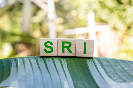 SRI Socially responsible investing Socially responsible investing is any investment strategy that seeks to consider financial returns alongside ethical social or environmental goals.の写真素材