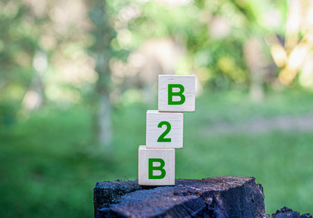 B2B business to business model refers to a business model in which one organization sells goods or services to another. In other words it is a business-to-business transaction.の写真素材