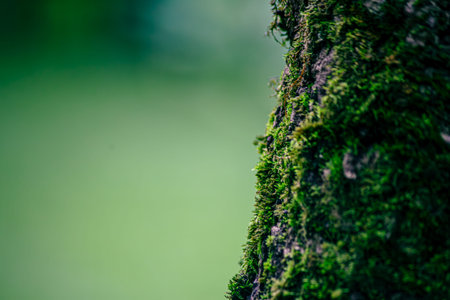 Sustainable Green Nature Inspiring CSR and ESG Environmental Responsibility for a Better Future