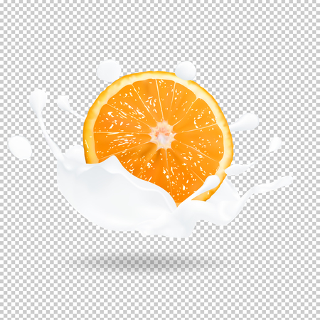 Orange fruit  in a milk splas. 3d  vector realistic illustrationのイラスト素材