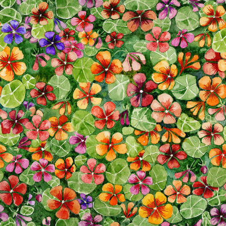 Colorful nasturtium flowers with leaves on green background. Bright seamless floral pattern.  Watercolor painting. Hand drawn illustration. Can be used as for fabric, wallpaper, wrapping paper.の写真素材