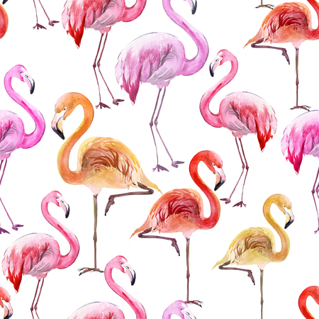 Beautiful multicolored flamingo on white background. Exotic seamless pattern. Watercolor painting. Hand drawn and painted illustration. Fabric, wallpaper design.の写真素材