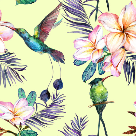 Beautiful colorful colibri and plumeria flowers on light green background. Exotic tropical seamless pattern. Watecolor painting. Hand painted illustration. Wallpaper, fabric design.の写真素材