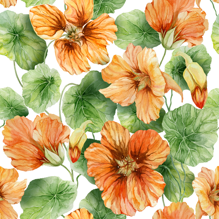 Beautiful orange nasturtium flowers (nose-twister) with leaves on white background. Seamless floral pattern.  Watercolor painting. Hand painted botanical illustration. Wallpaper, textile design.の写真素材