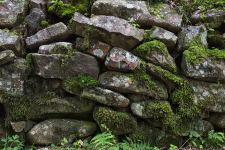 Old stones with moss and green plants between them. Beautiful nature background with stone texture. の写真素材