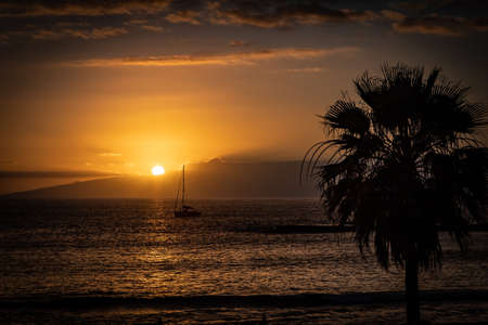 Golden sunset over horizon of Atlantic ocean, with a yacht and palm tree. Los Gigantes, Tenerife, Canary Islands, Spain.の写真素材