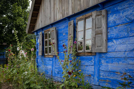 SIERPC, POLAND - July 23, 2021:
Closeup of aÂ  beautiful, traditional blue wooden house. 
Windows with shutters. Hollyhocks in the garden.のeditorial素材