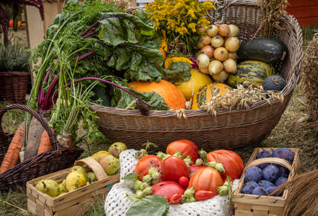 Colorful fruits and vegetables inÂ wicker baskets. Tomatoes, plums, pears, pumpkins, nuts, onions, squash. Autumn vibes.の写真素材
