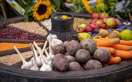Colorful selection of fruits and vegetables in an old wooden carriage wheel. 
Beetroots, carrots, garlic, kidney beans, peas, apples, pears, plums.の写真素材