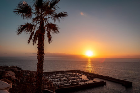 Golden sunset in Los Gigantes, Tenerife, Canary Islands, Spain. View from the hill to the yacht marina, single big palm tree and calm waters of Atlantic ocean.の写真素材