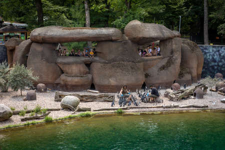Tourists visit the Belgrade Zoo in Serbiaの写真素材